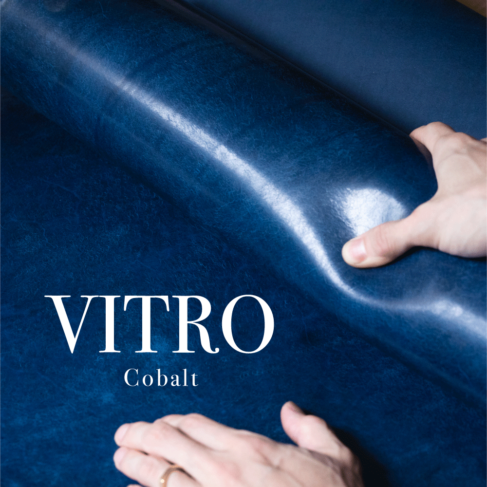 アルバカードケース / VITRO限定仕様